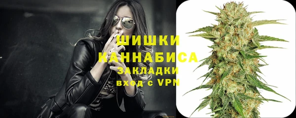 apvp Осинники