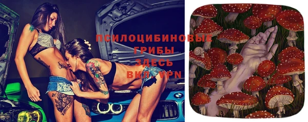 PSILOCYBIN Алексеевка